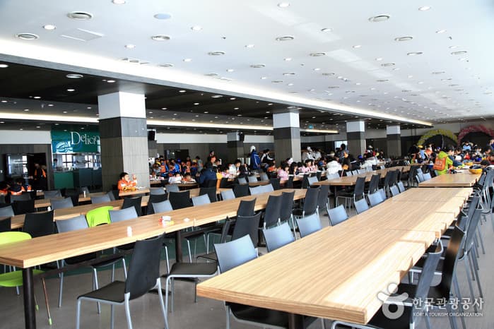 Eden Valley Ski Resort (에덴밸리스키장 (에덴밸리리조트))