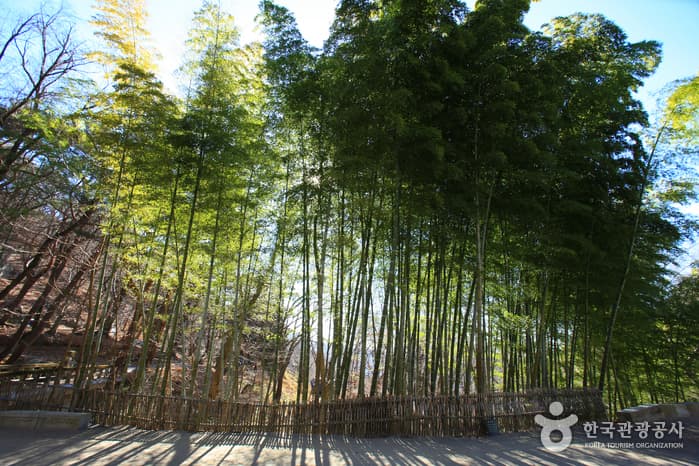 Hongnyongsa Temple (Yangsan) (홍룡사(양산))