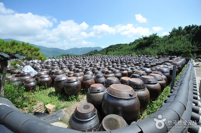 Cheong Maesil Farm (홍쌍리 청매실농원)