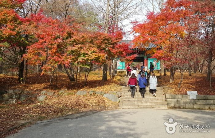 Deoksungsan Mountain (덕숭산)