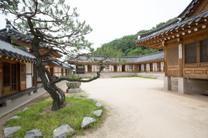 Joseon Wangga/ 조선왕가(농업회사법인 조선왕가 주식회사)