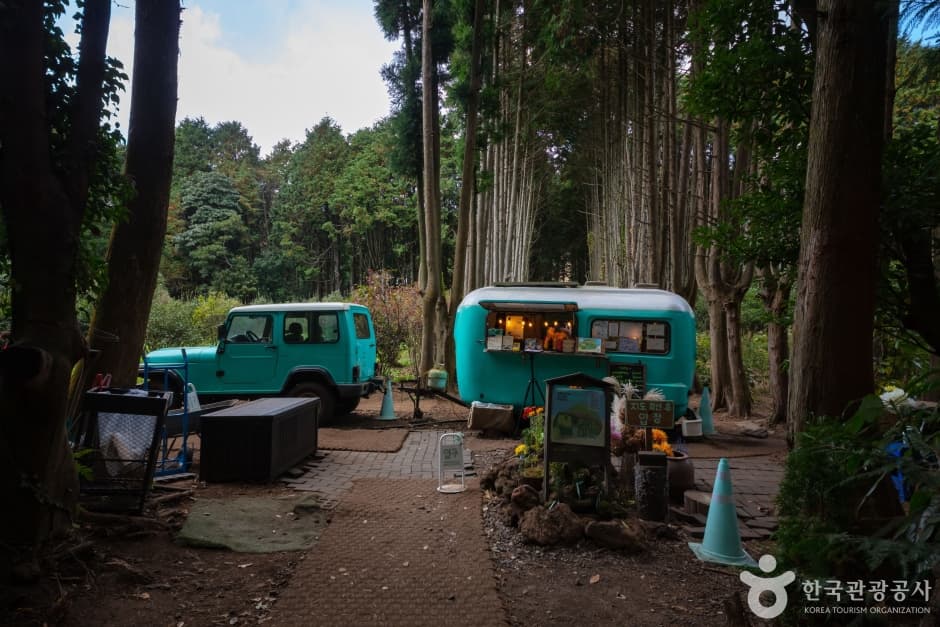 Secret Forest (비밀의 숲)