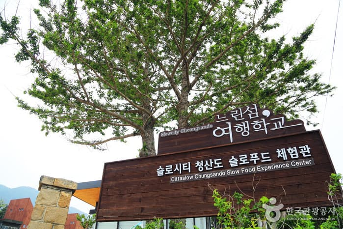 Jeonnam Wando Cheongsando Island (Cittaslow) (전남 완도 청산도 [슬로시티])