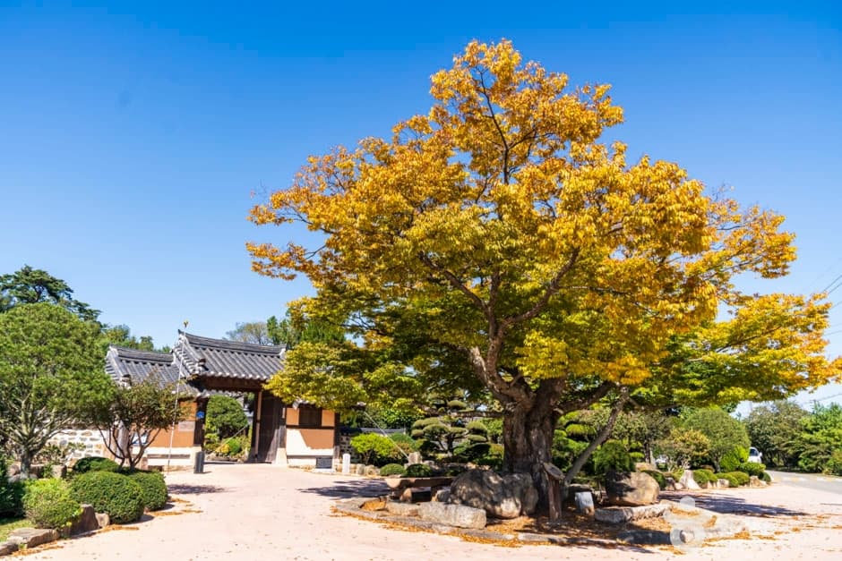 Birth Home of Queen Jeongsun (정순왕후생가)