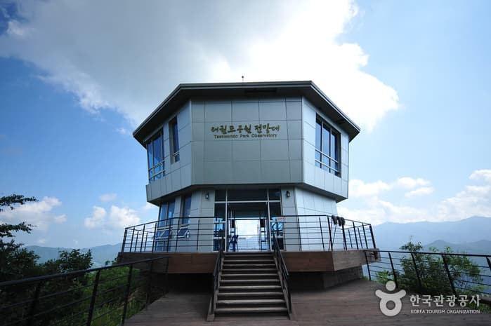 Taekwondowon Observatory (태권도공원 전망대)