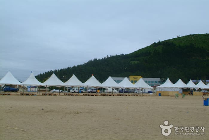 Chilpo Beach (칠포해수욕장)