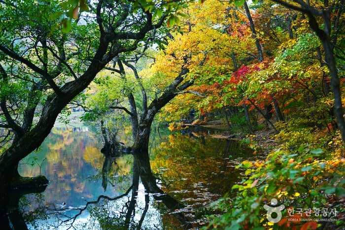 Jusanji Pond [National Geopark] (주산지 (청송 국가지질공원))