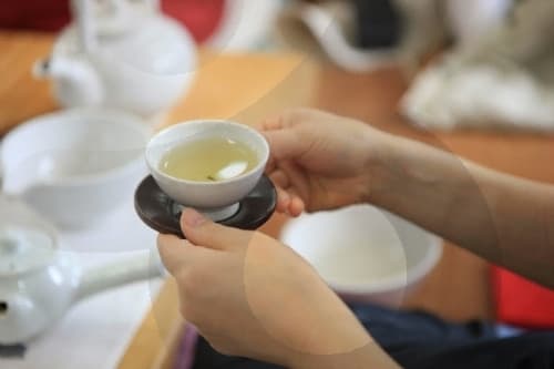 Hadong Tea Museum (하동야생차박물관)