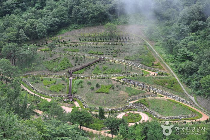 Daea Arboretum (대아수목원)