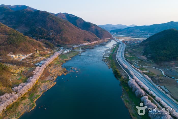 Gurye Seomjingang Cherry Blossom Trail (구례 섬진강 벚꽃길)