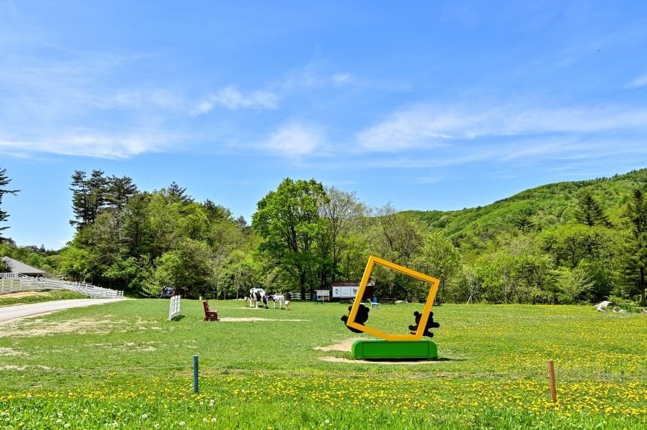 Daegwallyeong Sky Ranch (대관령 하늘목장)