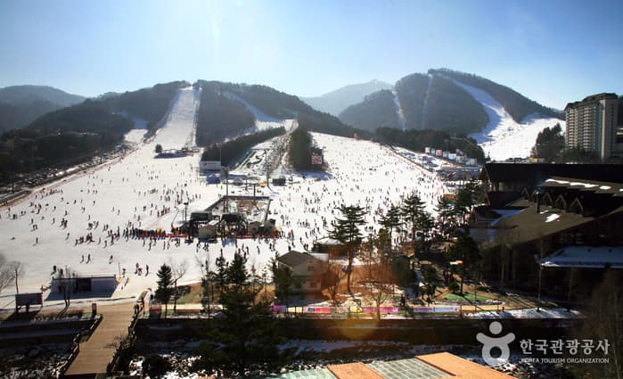 Yongpyong Ski Resort (용평리조트 스키장)