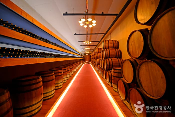 Yeongdong Wine Tunnel (영동 와인터널)