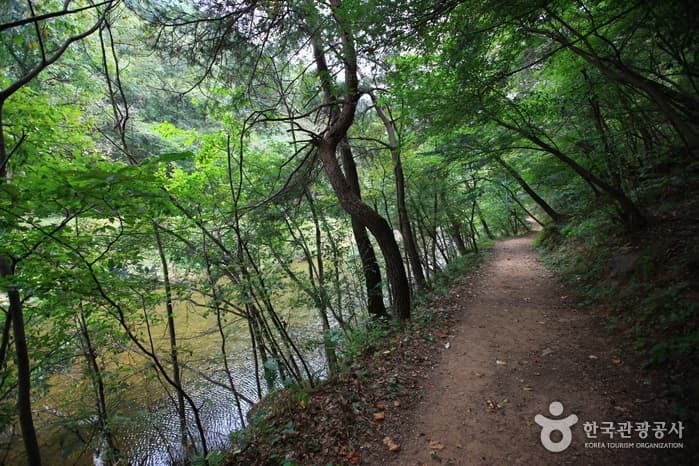 Hwanggyepokpo Falls (황계폭포)