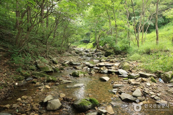 Yeongok Valley (연곡계곡)