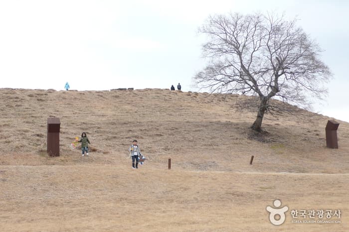 Museum of the ancient tombs in Daseong-dong (대성동고분박물관)