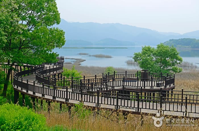 Daecheongho Obaengni (500-ri) Road (대청호오백리길)