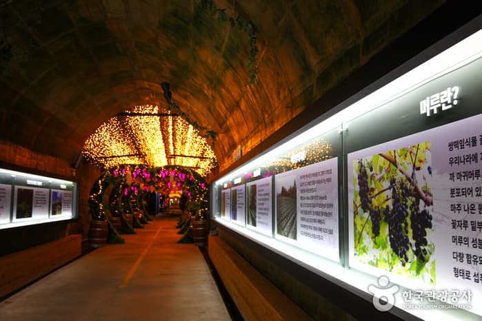Muju Meoru Wine Cave (무주머루와인동굴)