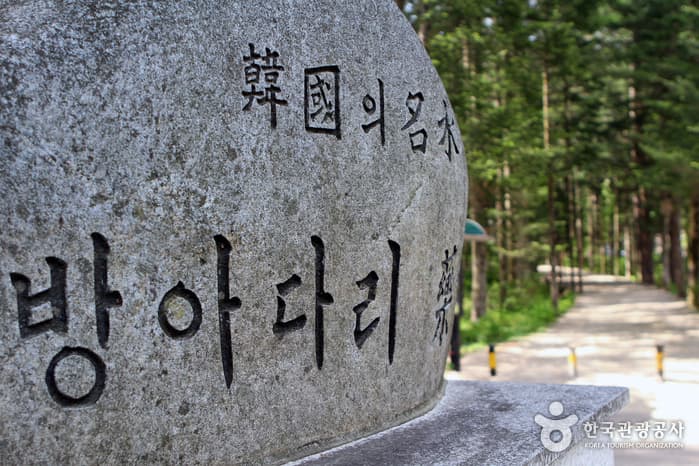 Bangadari Mineral Spring (방아다리약수터)