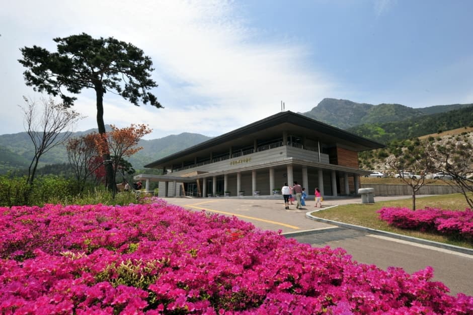 Sancheong Donguibogam Village (산청 동의보감촌)