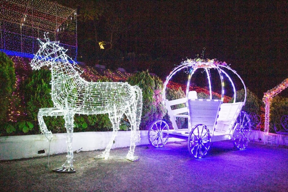 Cheongdo Provence Lighting Festival (청도 프로방스 빛축제)