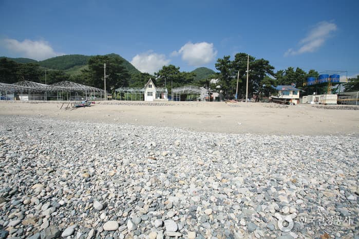 Gwanseong Solbat Beach (관성솔밭해변)