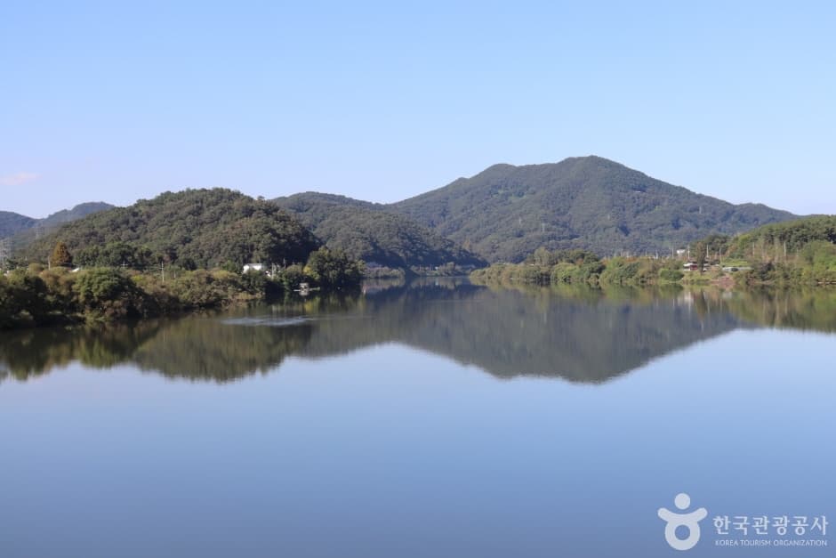 Red Leaf Willow Habitat (왕버드나무군락지)