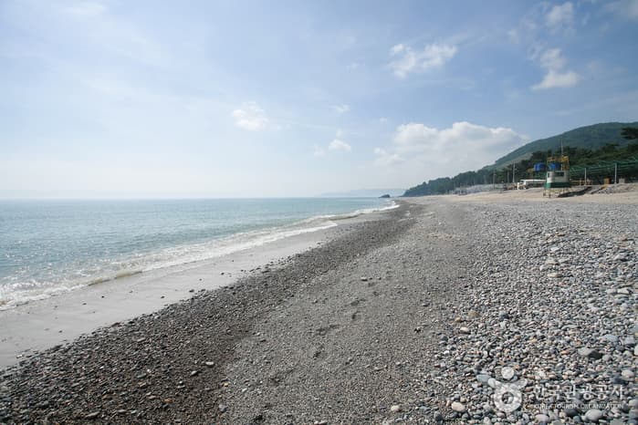 Gwanseong Solbat Beach (관성솔밭해변)