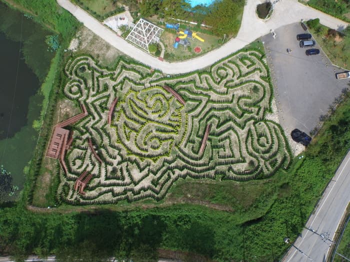 Anmyeondo Maze Park (안면도 미로공원)