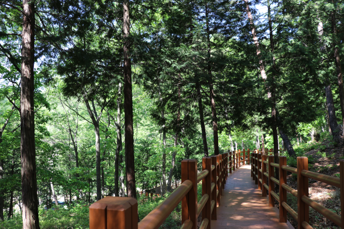 National Center for Forest Therapy, Daeunsan (국립대운산치유의숲)