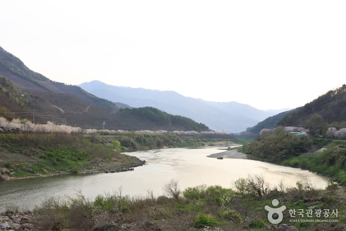 Seomjingang River (섬진강)