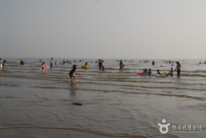 Mongsanpo Beach (몽산포해수욕장)