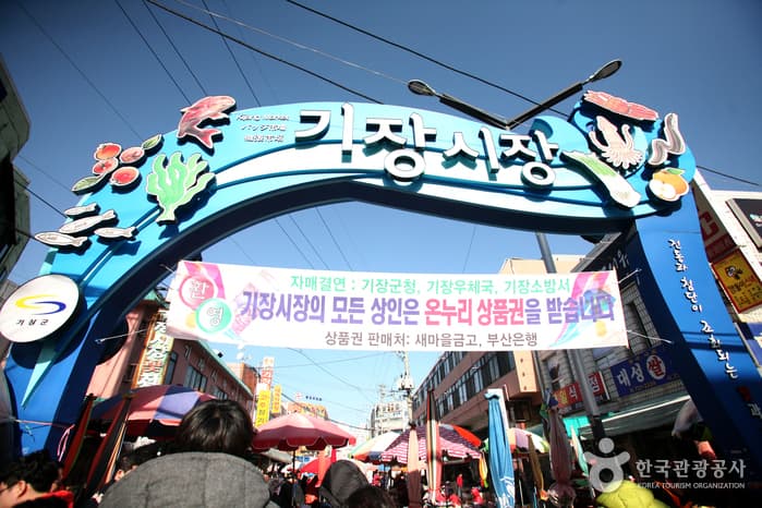 Gijang Market (부산 기장시장)