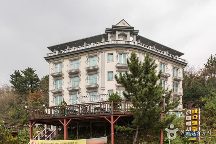 Jung-dong castle (정동캐슬)