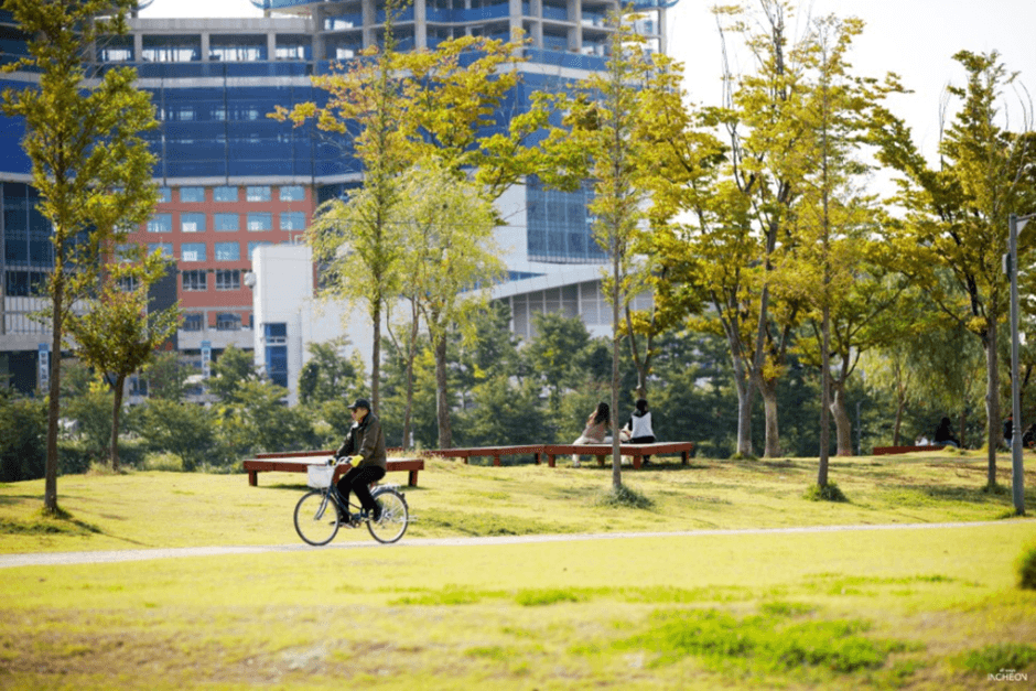 Songdo Dog Park (송도 도그파크)
