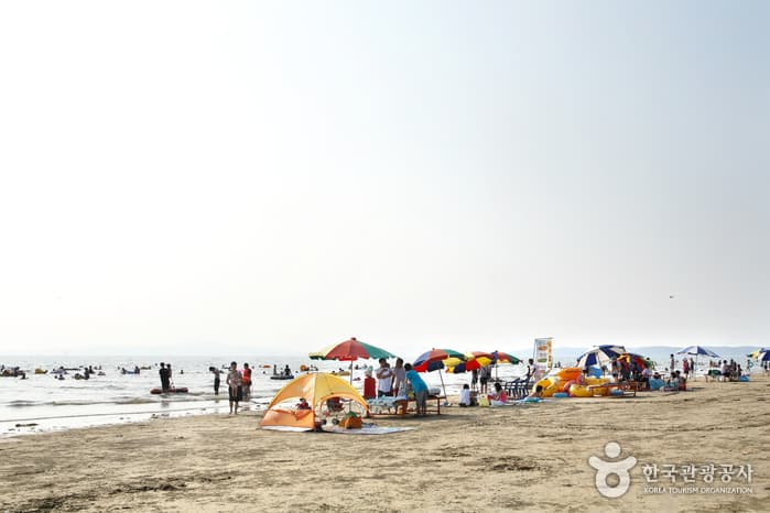 Cheongpodae Beach (청포대해수욕장)