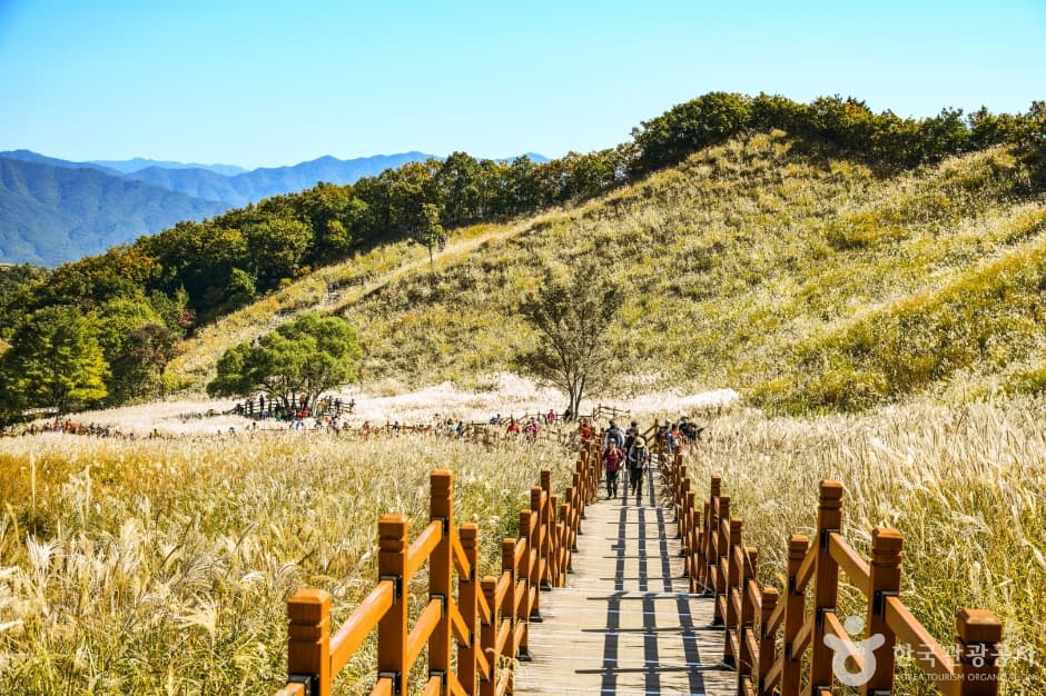 Myeongseongsan Silver Grass Field (명성산 억새밭)