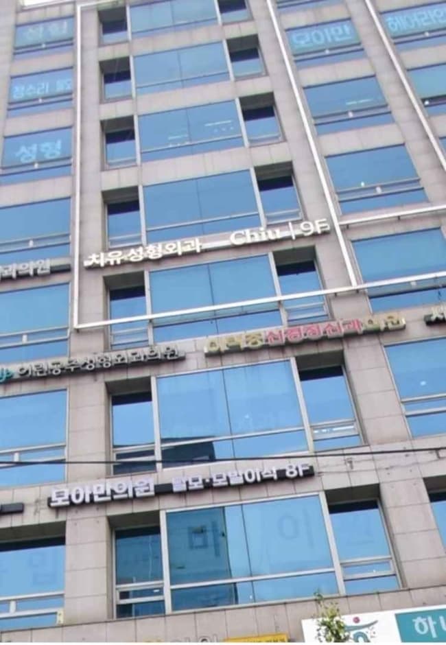 Chiu Plastic Surgery [Tax Refund Shop] (치유성형외과의원)