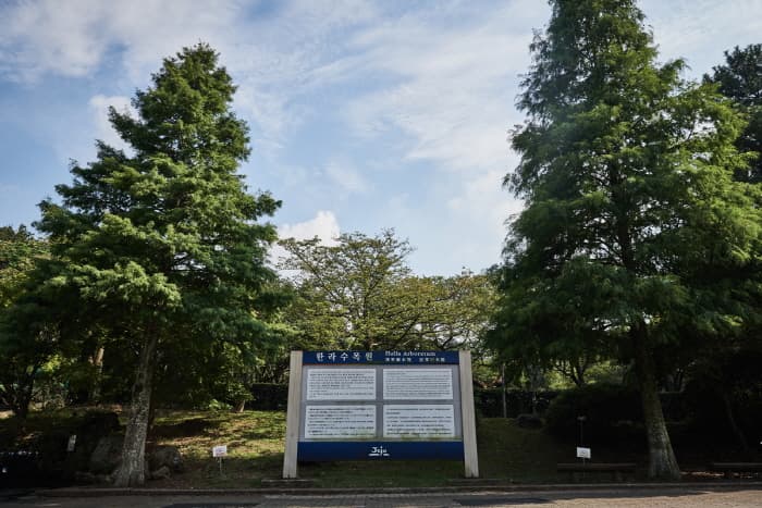 Halla Arboretum (한라수목원)