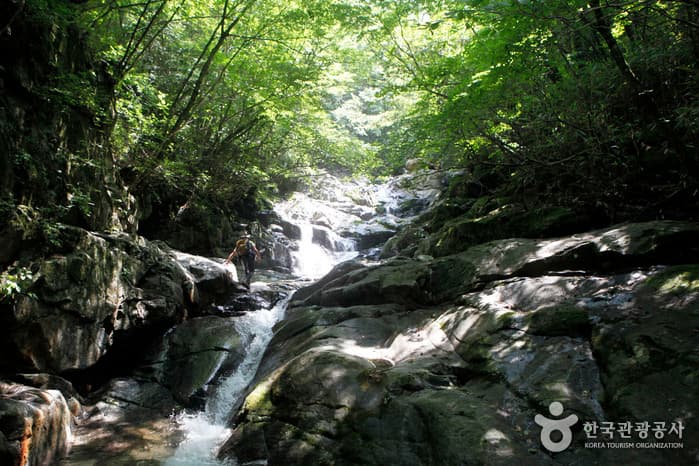 Jirisan Chilseongyegok Valley (칠선계곡(지리산))
