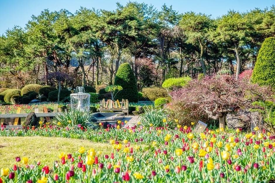 Byukchoji Gardens (벽초지수목원)