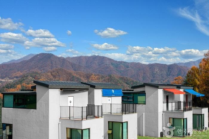 Premium Kids Pool Villa (프리미엄키즈풀빌라)