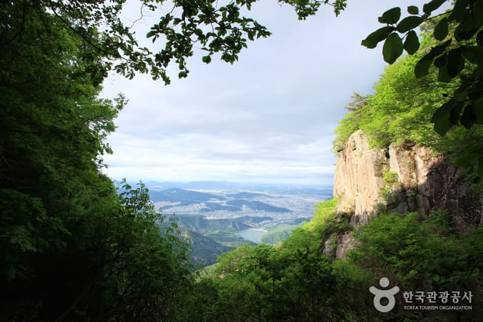 Geumosan Provincial Park (금오산도립공원)