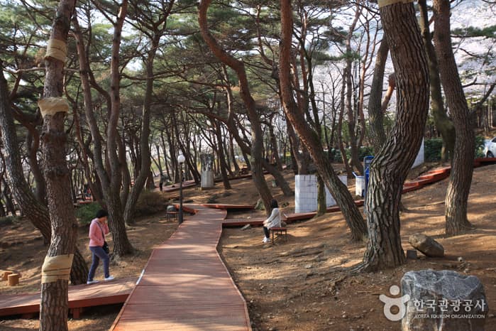 Jangboksan Sculpture Park (장복산조각공원)