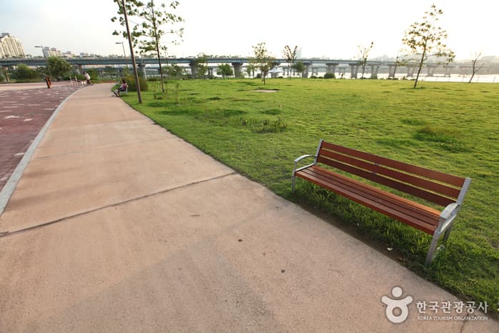 Gwangnaru Hangang Park (광나루한강공원)
