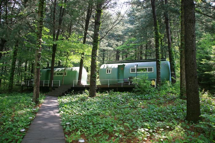 Seohuri Forest (서후리숲)
