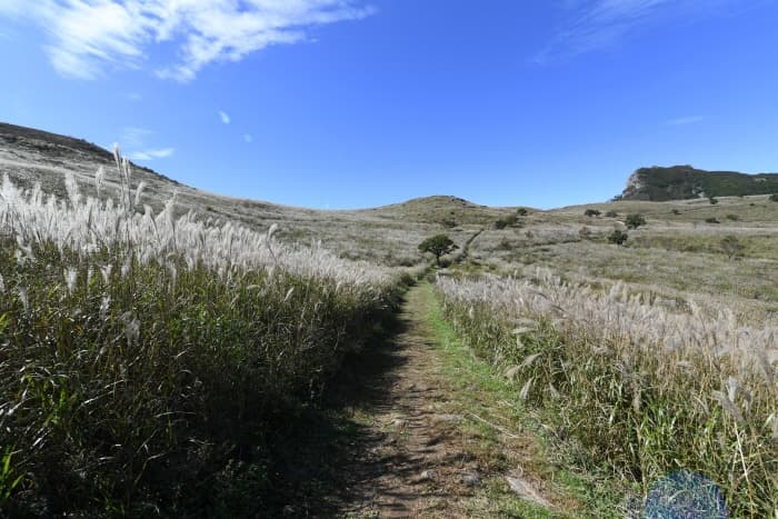 Hwangmaesan County Park (황매산군립공원)