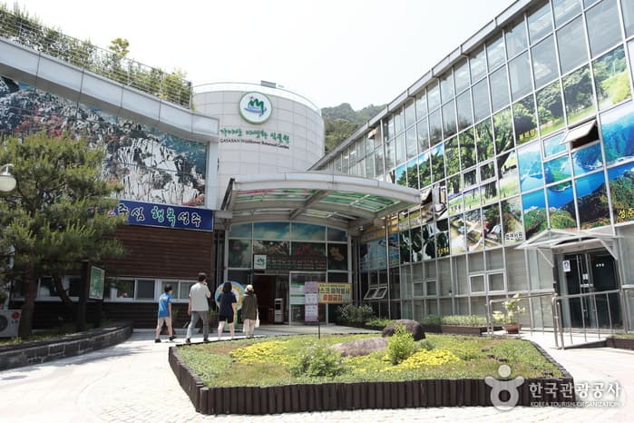 Gayasan Wildflower Botanical Garden (가야산 야생화식물원)