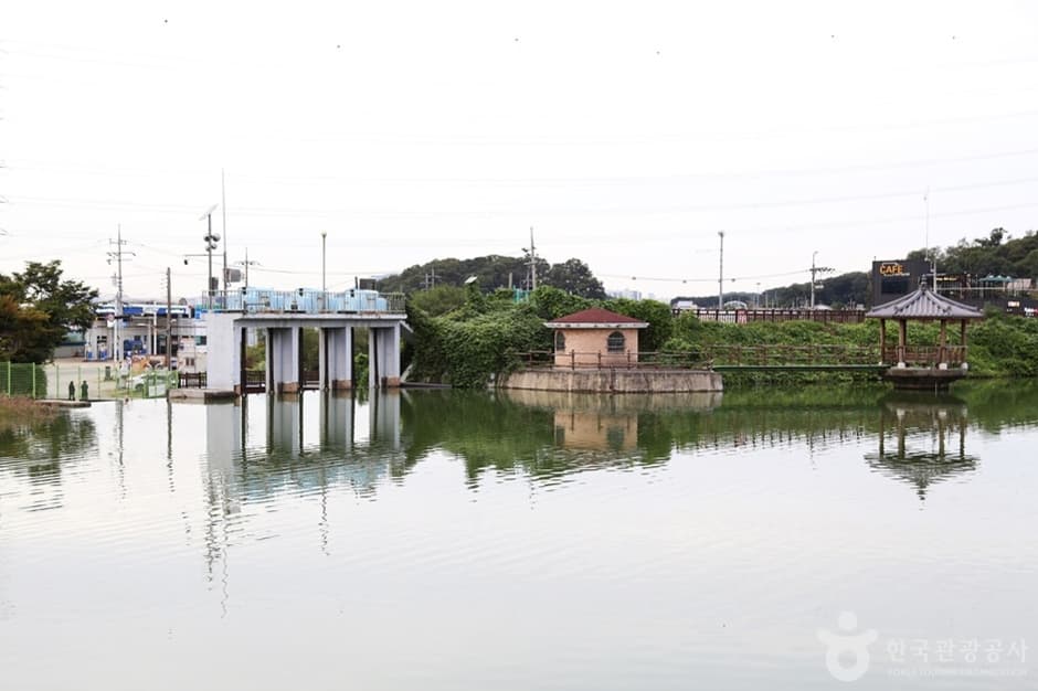 Murwanghosu Lake (물왕호수)