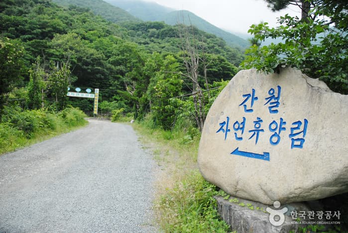 Ganwolsan Recreation Forest (간월산 자연휴양림)